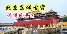 女人被操骚逼视频网站中国北京-东城古宫旅游风景区